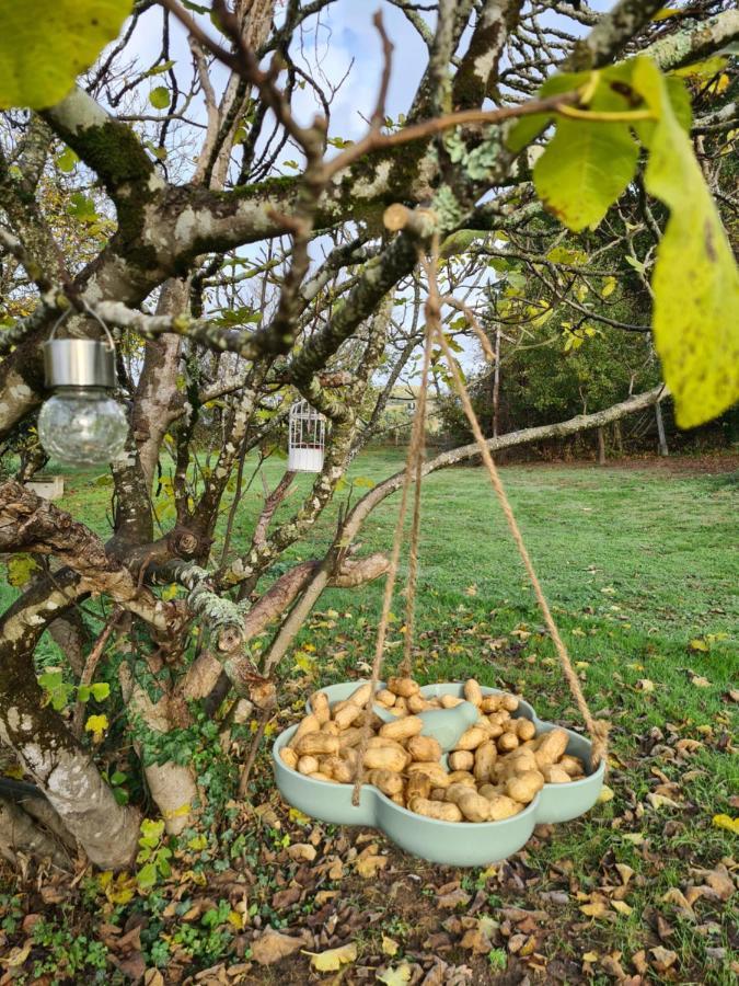 Le Coq en Repos Rozemarijn Bed and Breakfast Saint-Sylvestre-sur-Lot Buitenkant foto