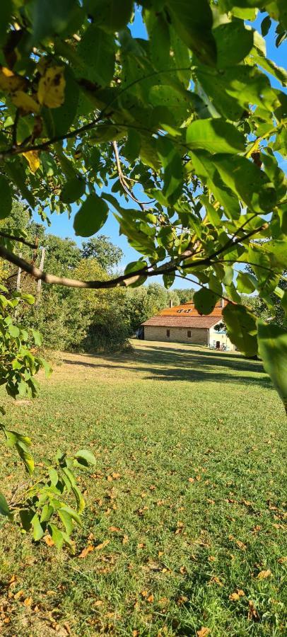 Le Coq en Repos Rozemarijn Bed and Breakfast Saint-Sylvestre-sur-Lot Buitenkant foto