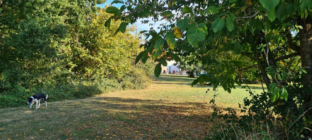 Le Coq en Repos Rozemarijn Bed and Breakfast Saint-Sylvestre-sur-Lot Buitenkant foto